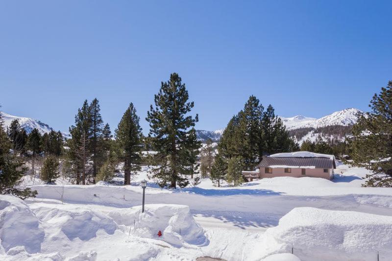 Mammoth Green # 105 Mammoth Lakes Habitación foto